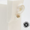 PolyMer Clay Earrings #A004