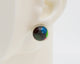 PolyMer Clay Earrings #A010
