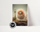 Creature Factory #022